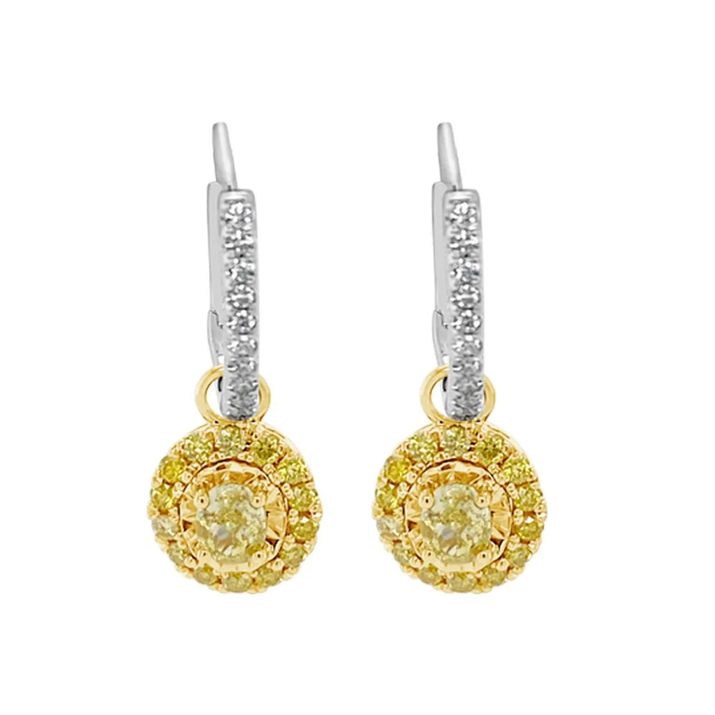 Clara by Martin Binder Yellow Diamond Drop Earrings (1.05 ct. tw.)