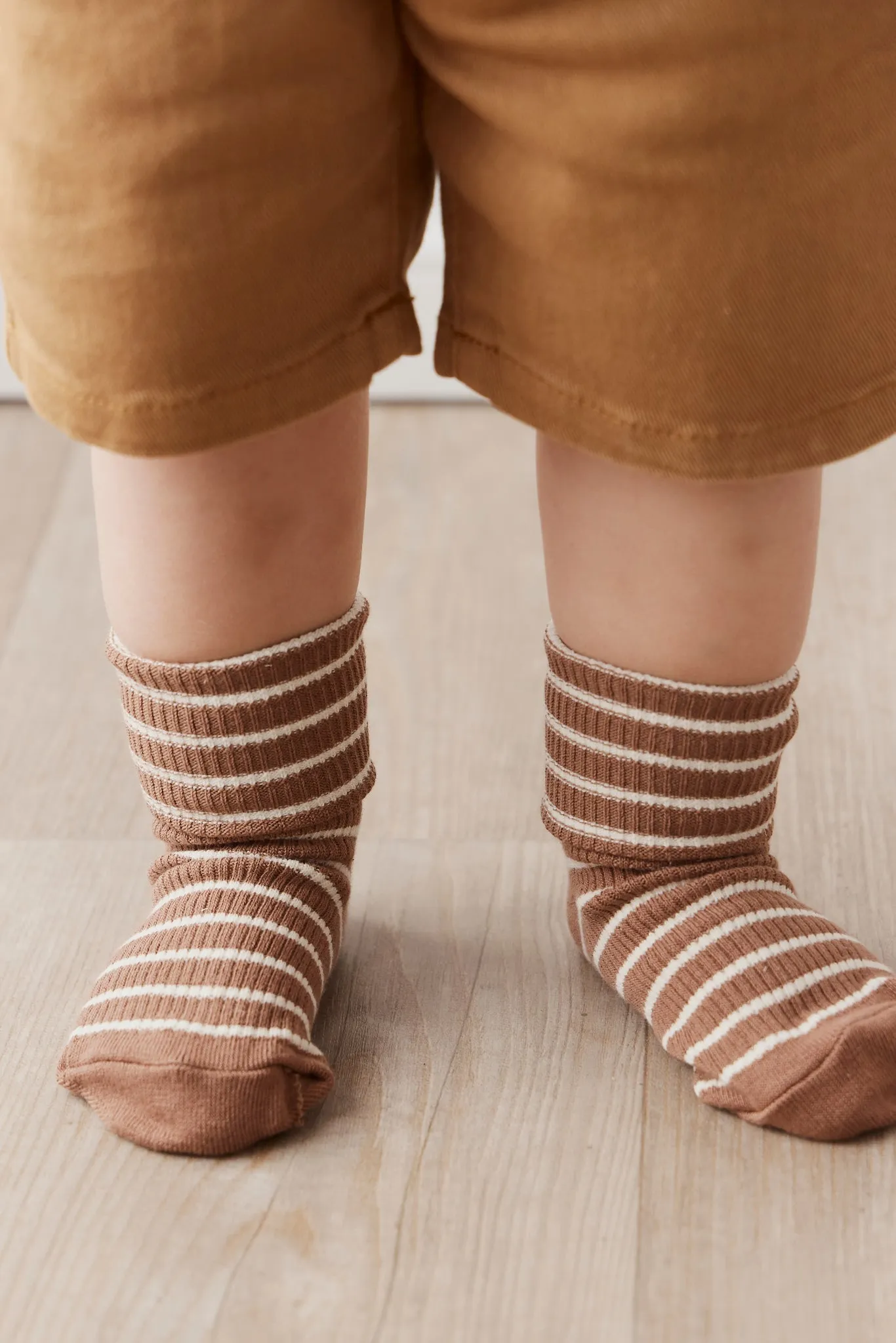 Classic Rib Sock - Hazelnut Stripe